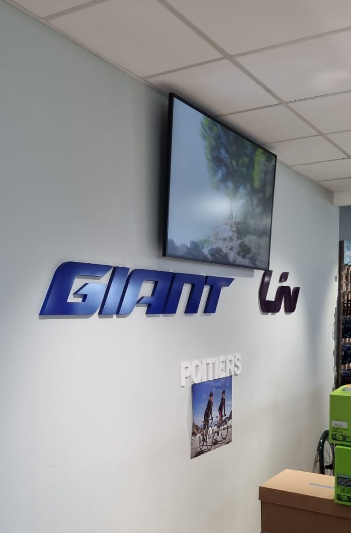 GIant_2